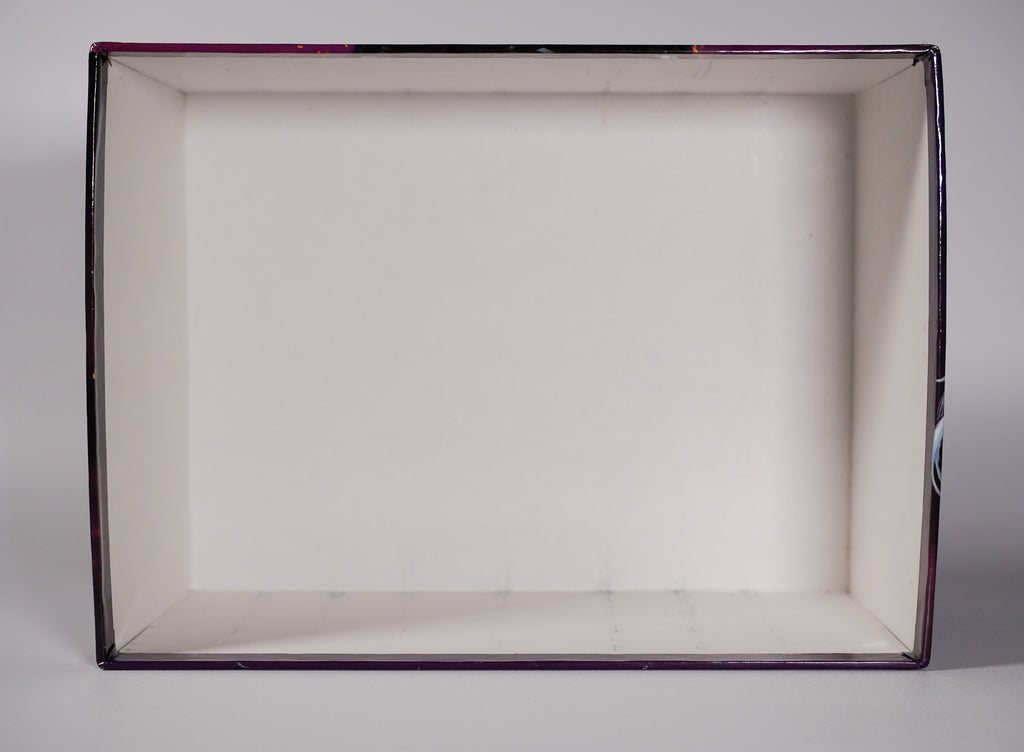 Interior condition of the 2018 Throne of Glass hardcover collector box