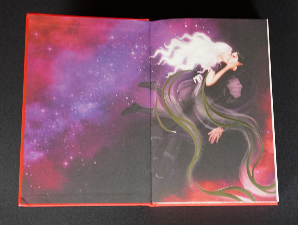 Nytefall OwlCrate edition full-spread illustrated endpaper artwork
