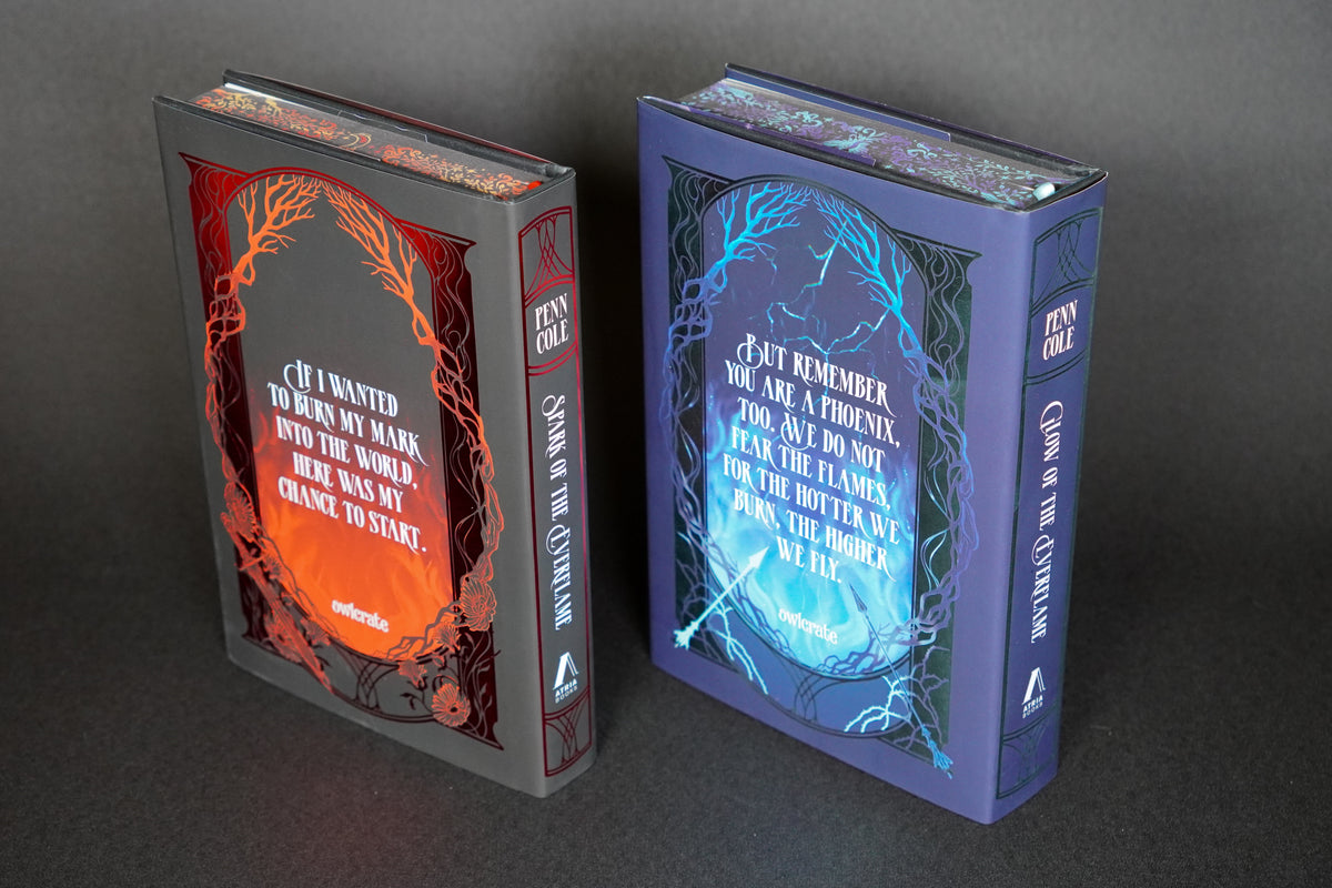 Spark and Glow of the Everflame OwlCrate exclusive set angled view showing spines and page edges