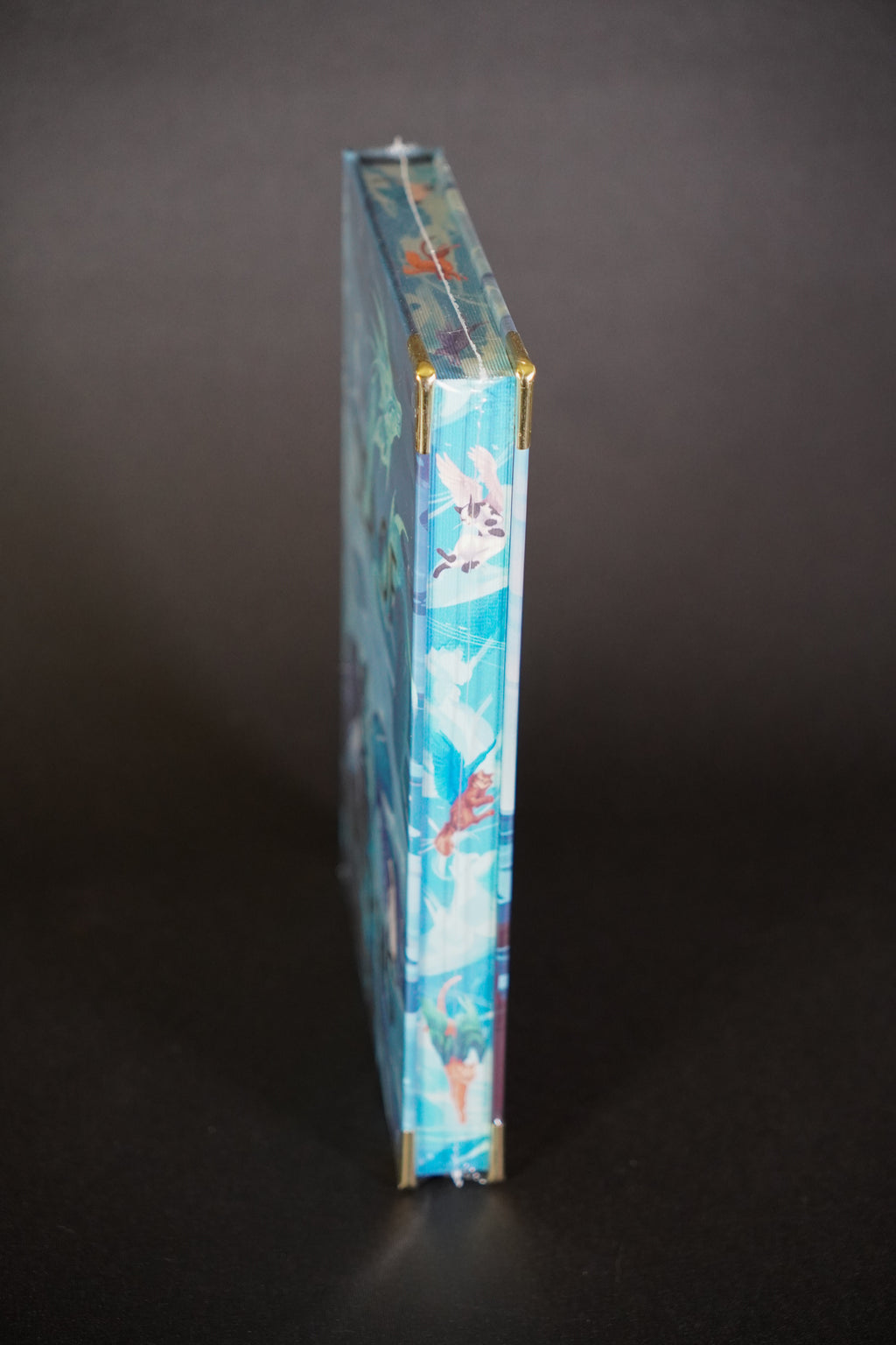 Sea of Charms Bookish Box Luxe illustrated page edges and metal corners