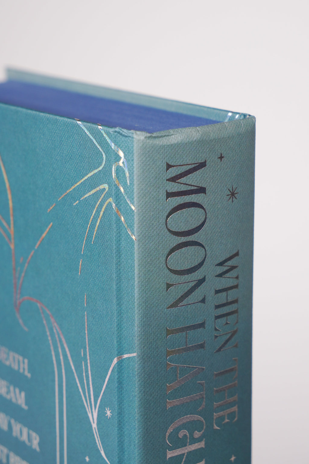 When the Moon Hatched FairyLoot close-up of creasing at top of hardcover spine