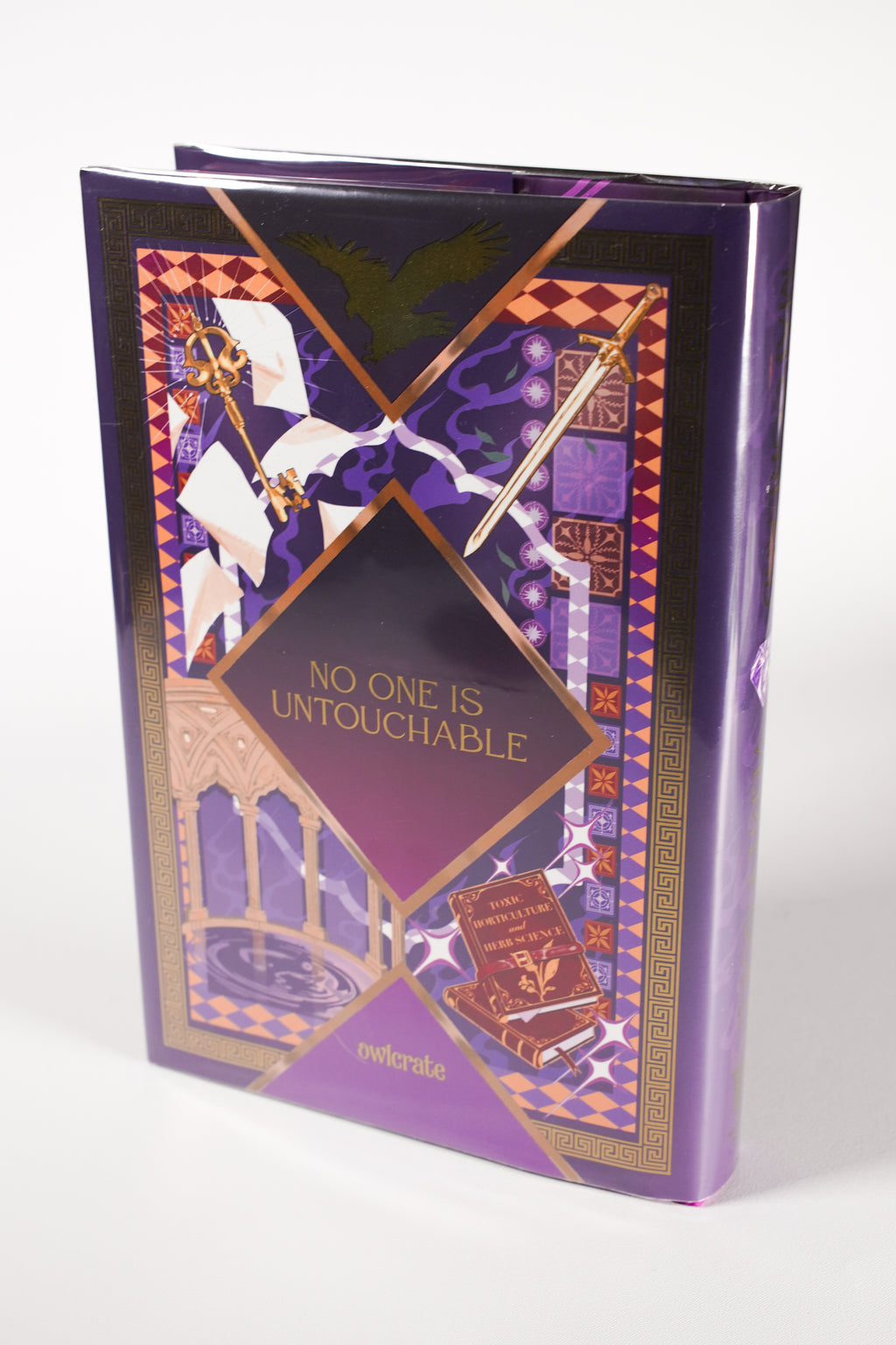 Verity Guild OwlCrate exclusive hardcover back cover