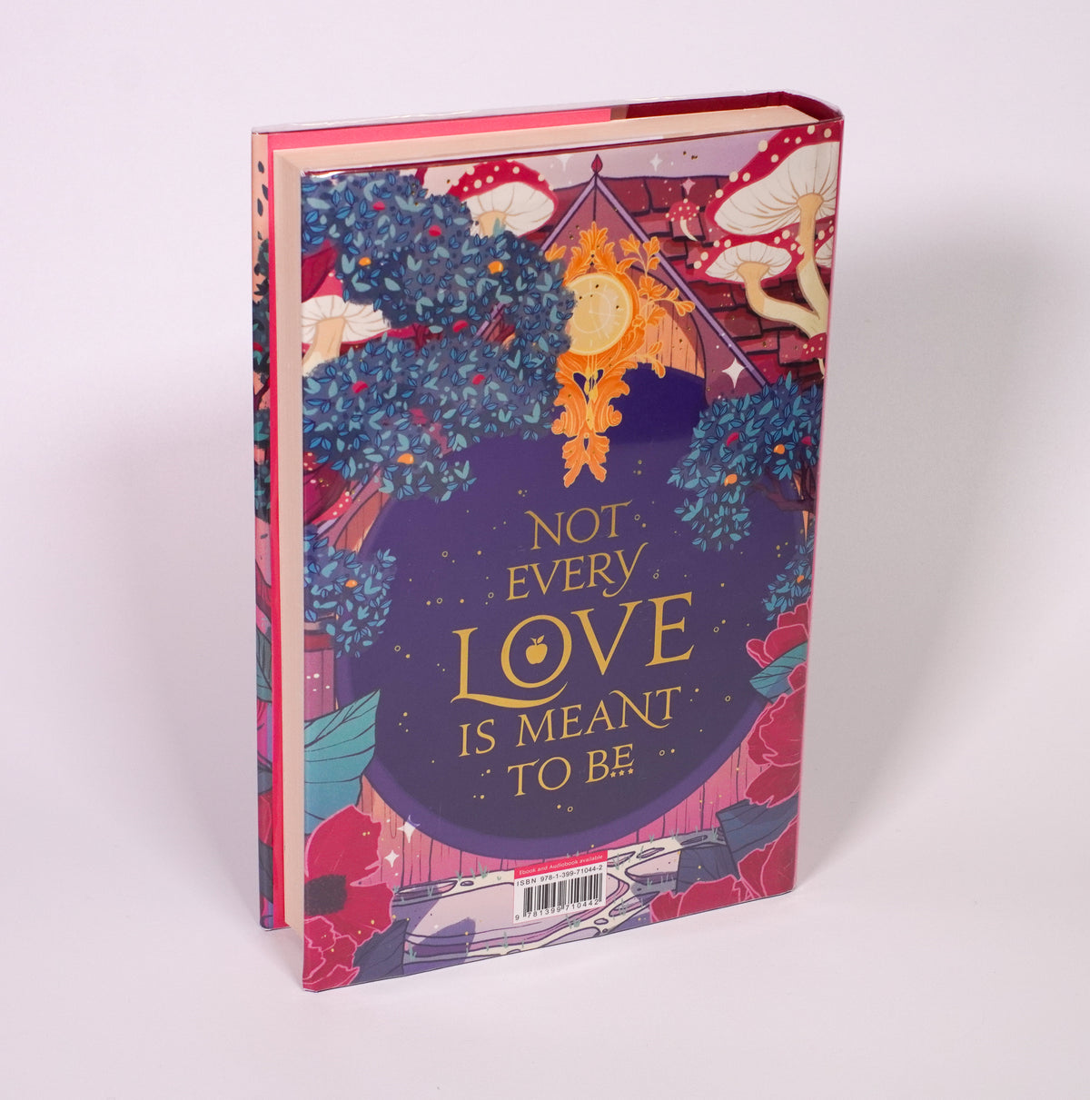 The Ballad of Never After signed Waterstones UK edition, illustrated back dust jacket and page edge