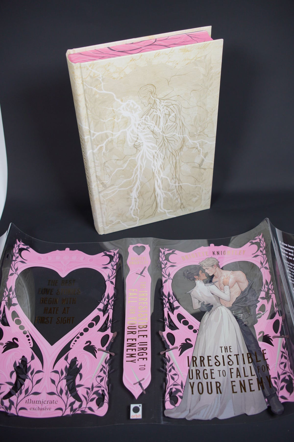 The Irresistible Urge to Fall for Your Enemy — illustrated hardback with full acetate jacket