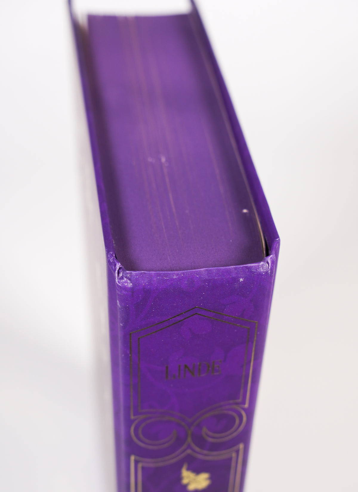The Robin on the Oak Throne FairyLoot purple page edge and corner second close-up
