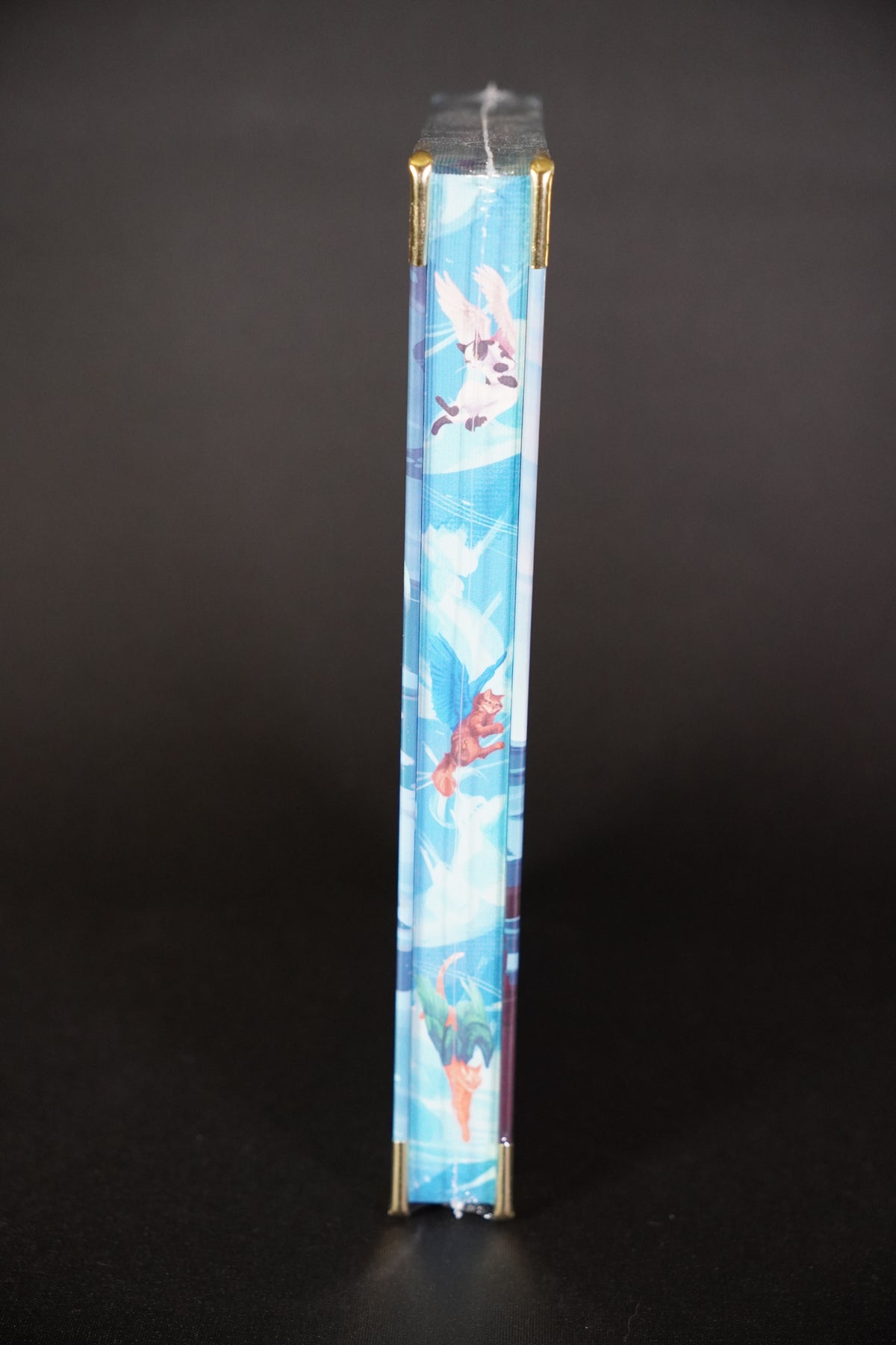 Sea of Charms Bookish Box Luxe sealed edition, showing the illustrated fore-edge and decorative metal corners