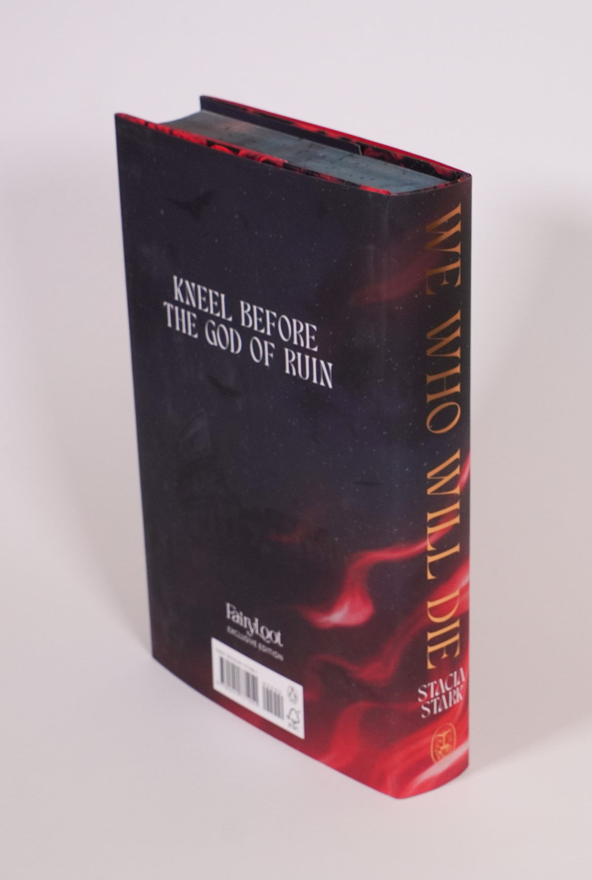 Back dust jacket, spine and top page edge of We Who Will Die FairyLoot edition on a light background